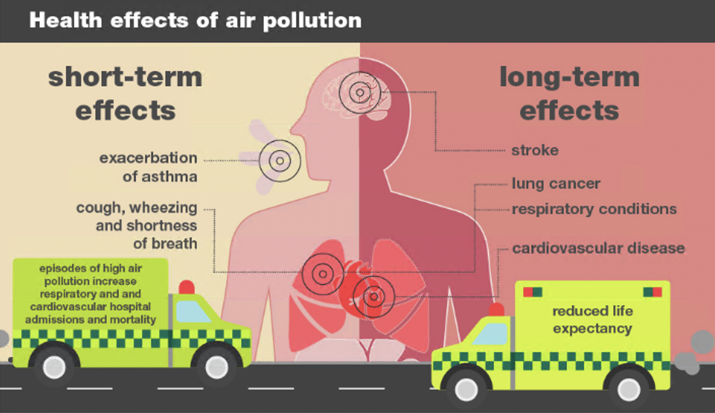 Health effects of air pollution