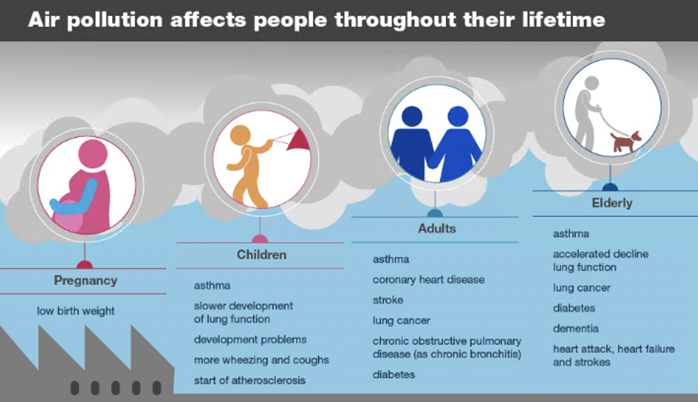 Health effects of air pollution