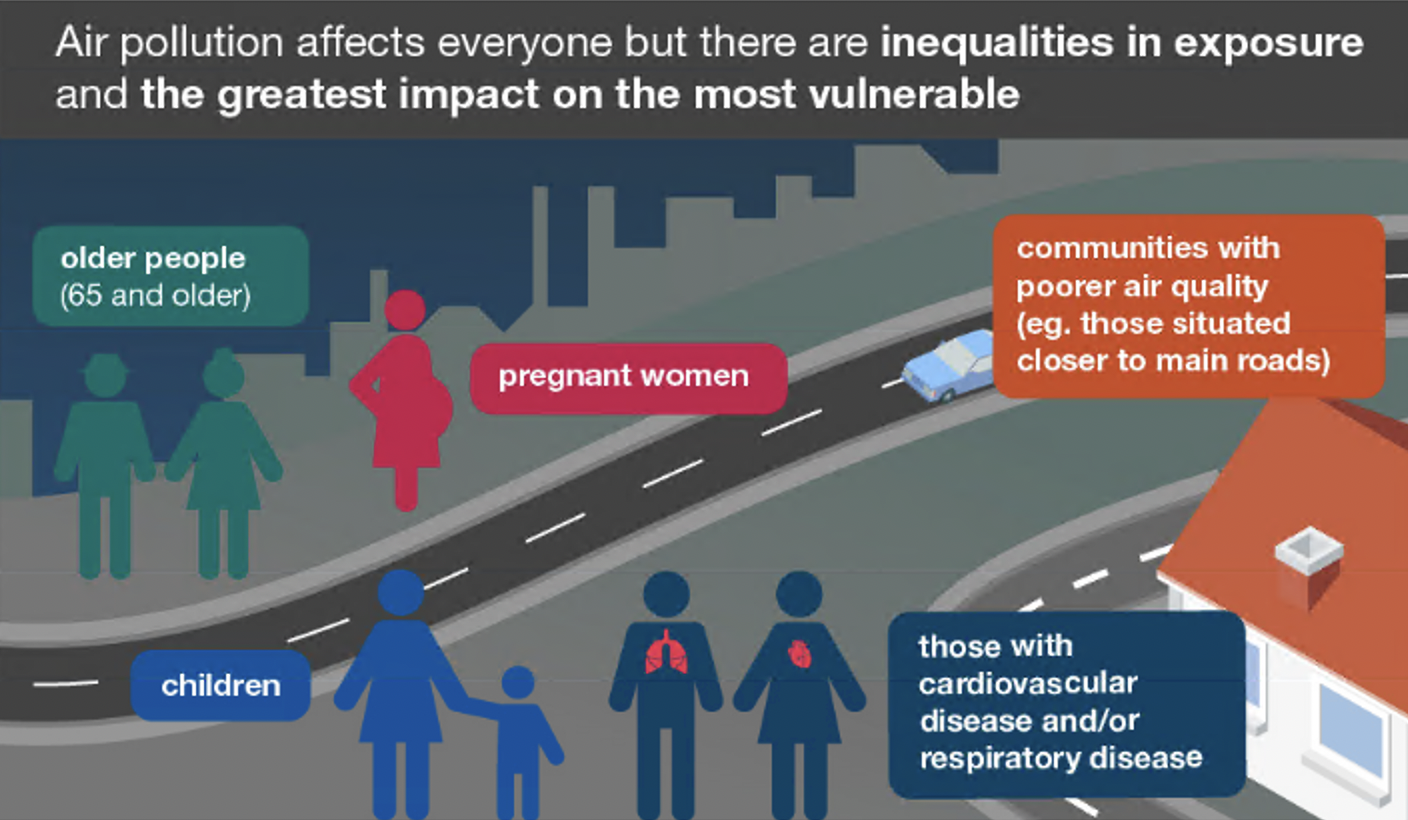 Health effects of air pollution